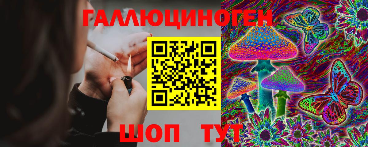 Раменское  Галлюциногенные грибы MAGIC MUSHROOMS  Вход с VPN 