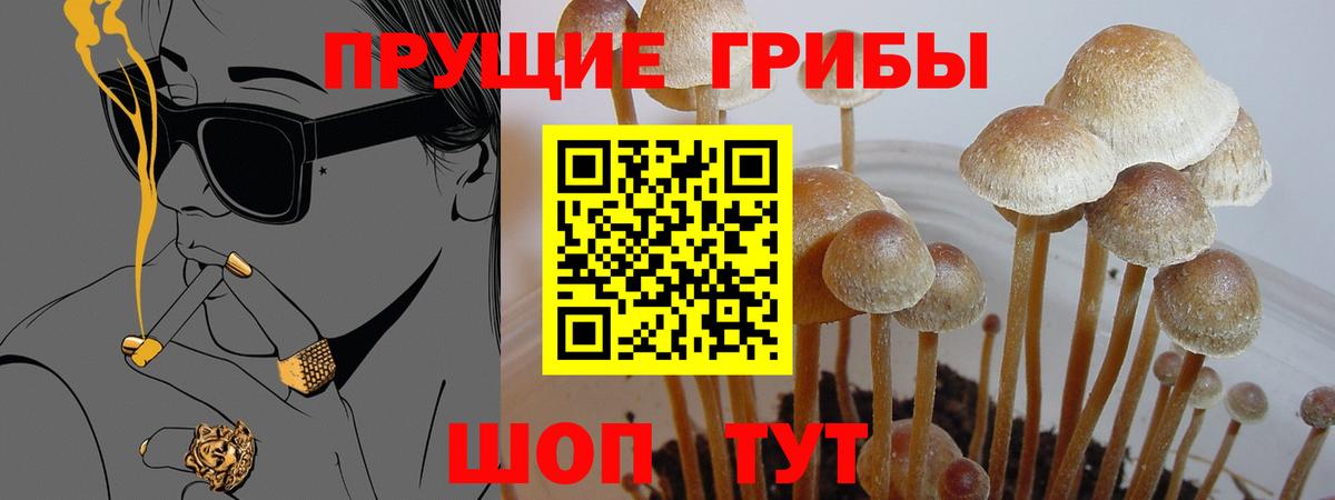 Галлюциногенные грибы Cubensis Раменское